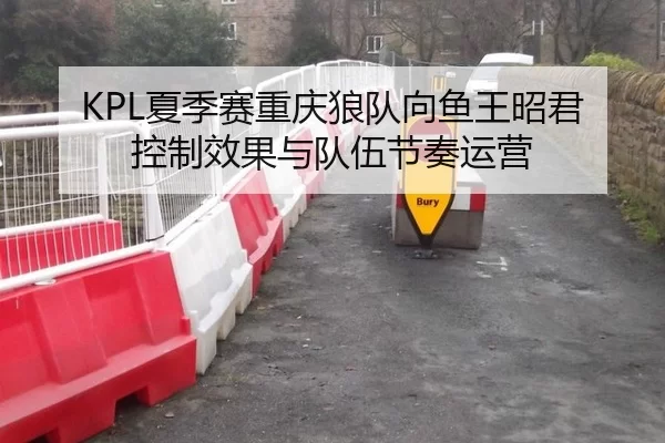 KPL夏季赛重庆狼队向鱼王昭君控制效果与队伍节奏运营